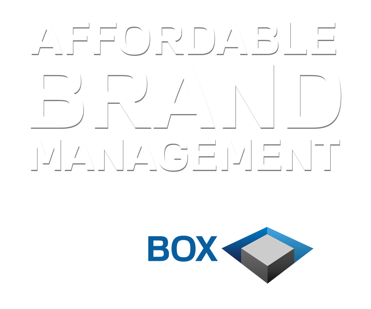 Affordable_Brand_Management